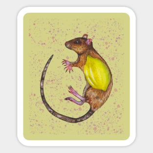 Rat or mouse with lemon Sticker